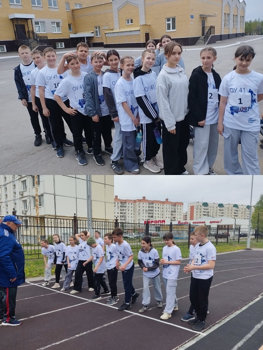 Изображения.