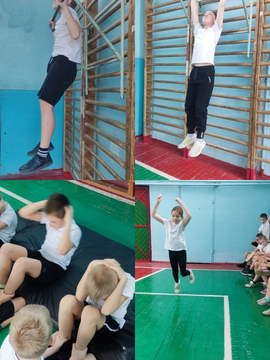 Изображения.